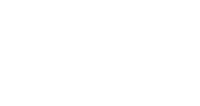 Elan Logo